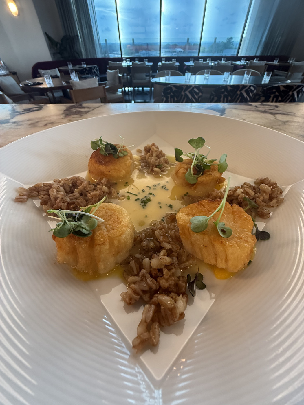 Scallops & Farro